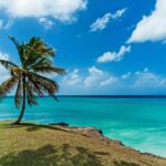 Malerischer Strand mit einer einzelnen Palme, türkisfarbenes Wasser und blauer Himmel mit Wolken, ideal für Urlaubs- und Reisethemen.